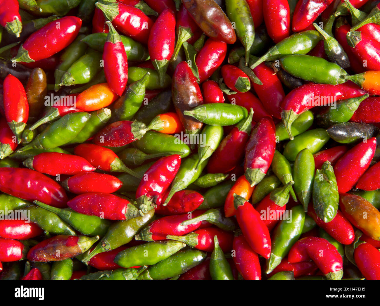Red and green chili background Stock Photo