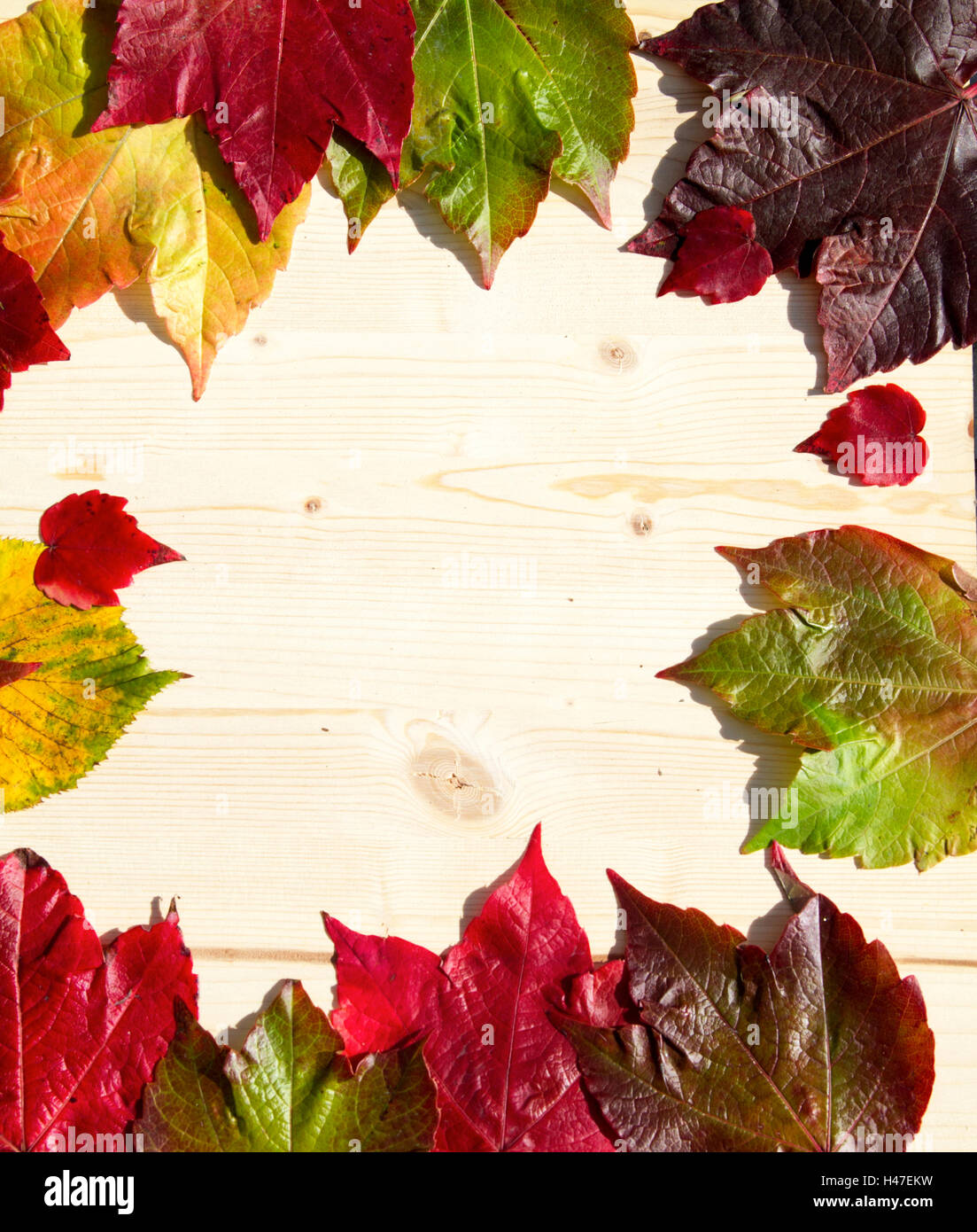 autumn card with colorful leaves Stock Photo - Alamy