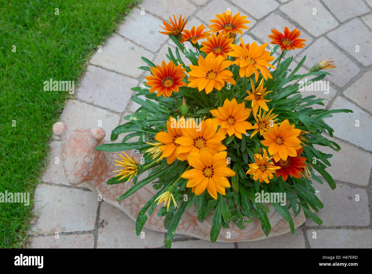 Garden figure with midday flowers, Stock Photo