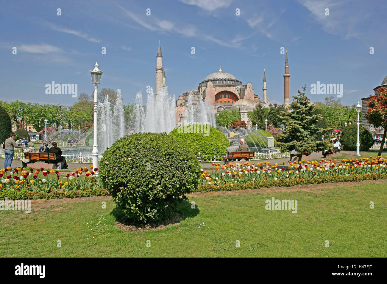 Turkey, Istanbul, Hagia Sophia museum, outside, town, museum, mosque, minarets, Islam, religion, faith, world religion, place of interest, tourism, flowers, spring flowers, tulips, brightly, people, tourists, Stock Photo