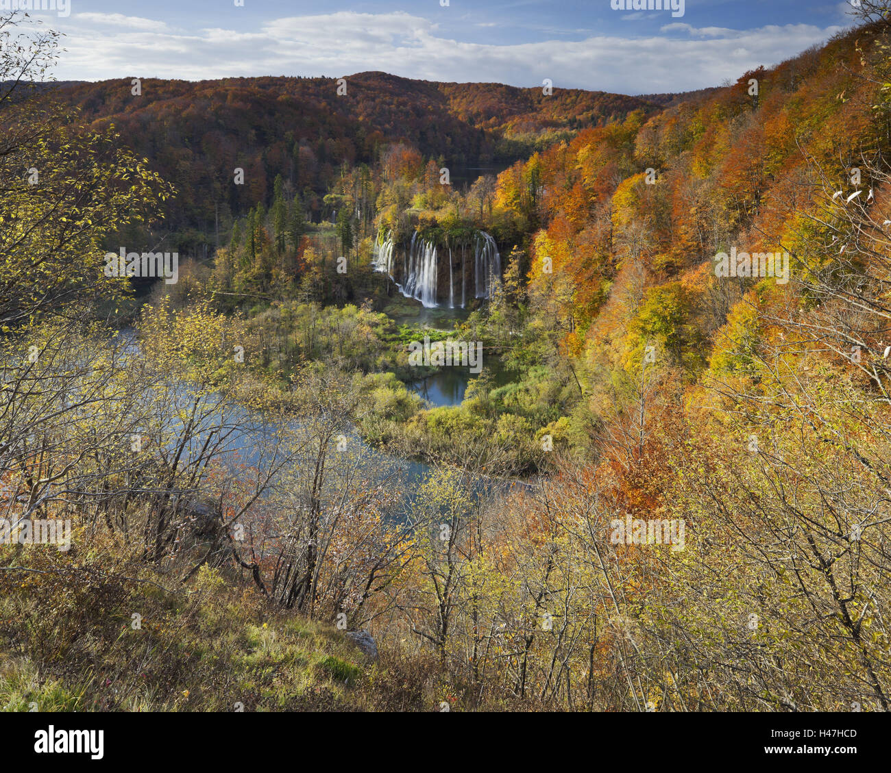 Croatia, national park Plitvicer lakes, waterfall, wood, Stock Photo