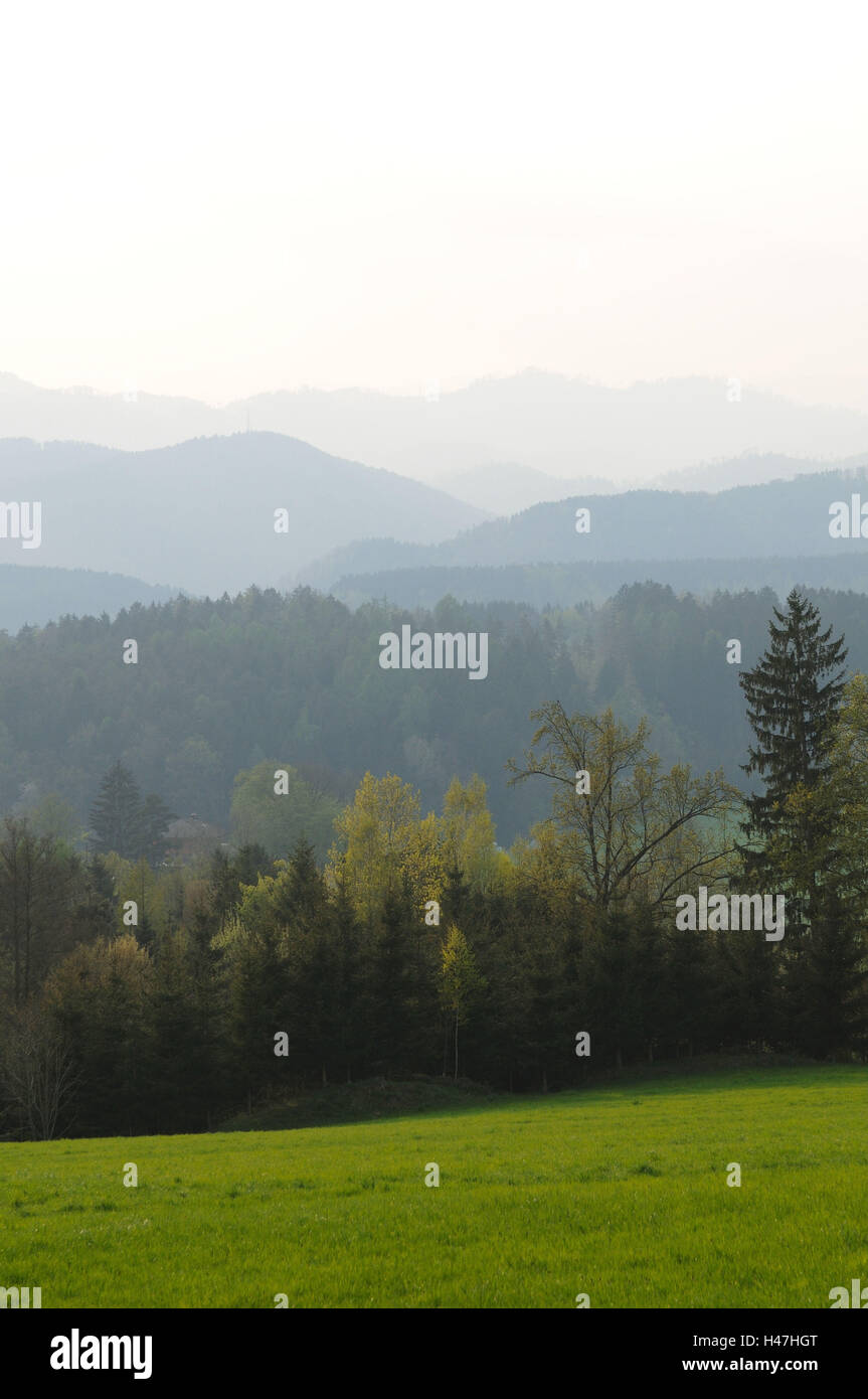 Hill scenery, meadow, spring, Austria, Stock Photo