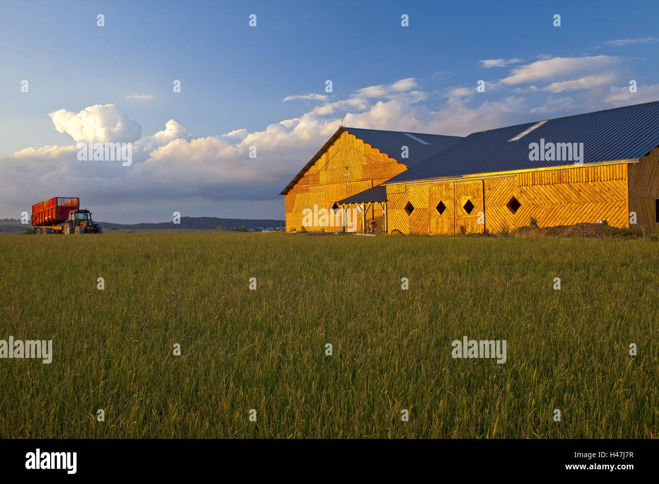 Europe, Luxembourg, Puesch, wheat field, barn, tractor, evening sun, Stock Photo