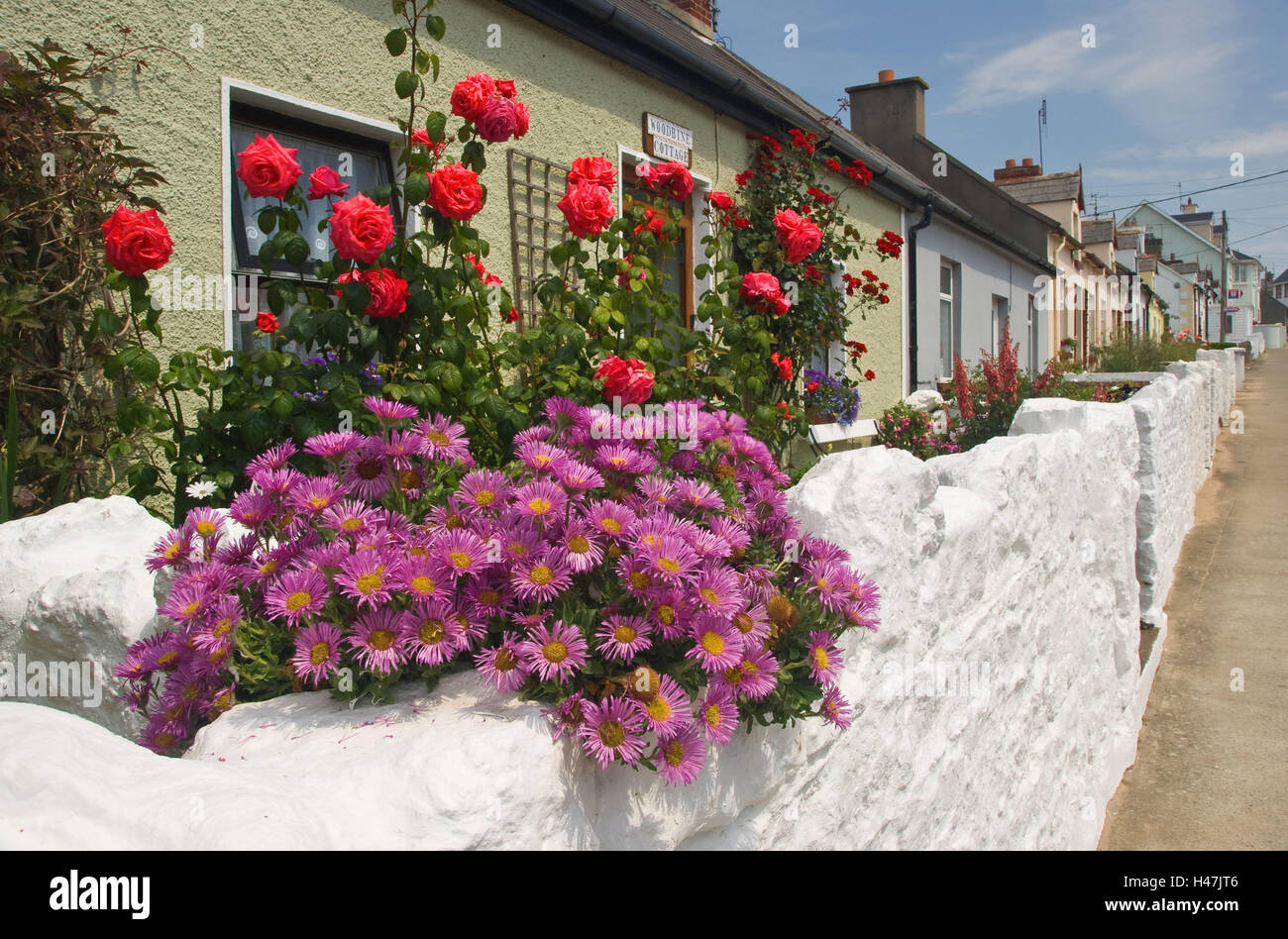 Ireland, Duncannon, town view, houses, floral decoration Stock Photo