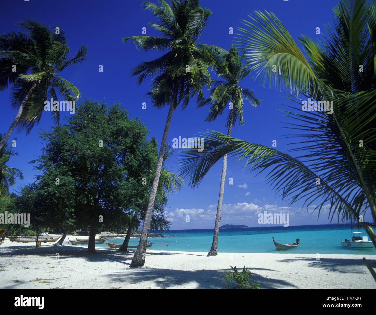 Thailand, Phi Phi Iceland, island Phi Phi Don, Tong Cape, palm beach