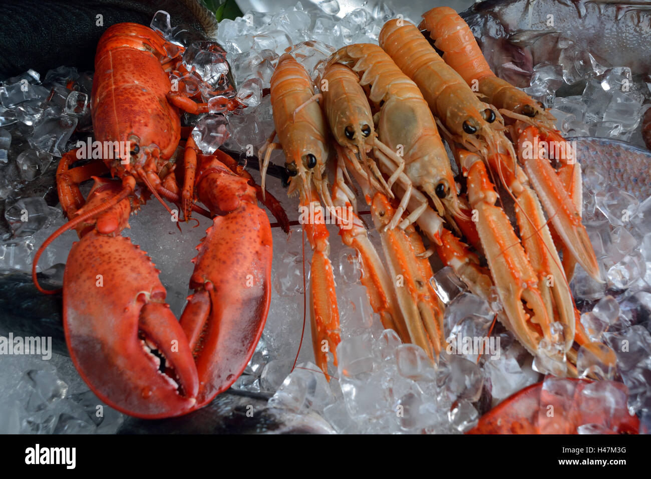 Seafood from the Adriatic Sea on a fish market on the Rialto Bridge of Venice in Italy. Stock Photo