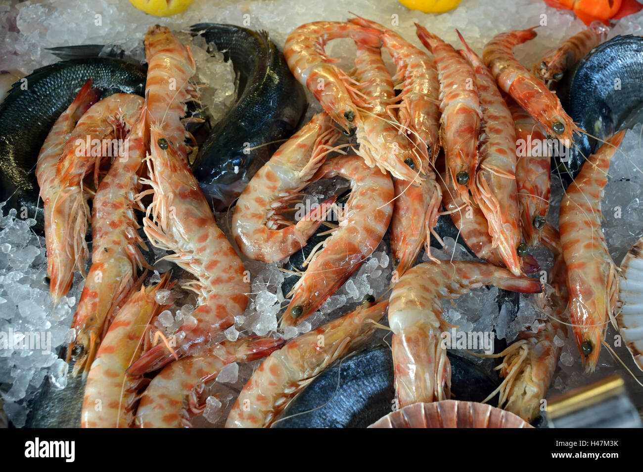 Seafood from the Adriatic Sea on a fish market on the Rialto Bridge of Venice in Italy. Stock Photo