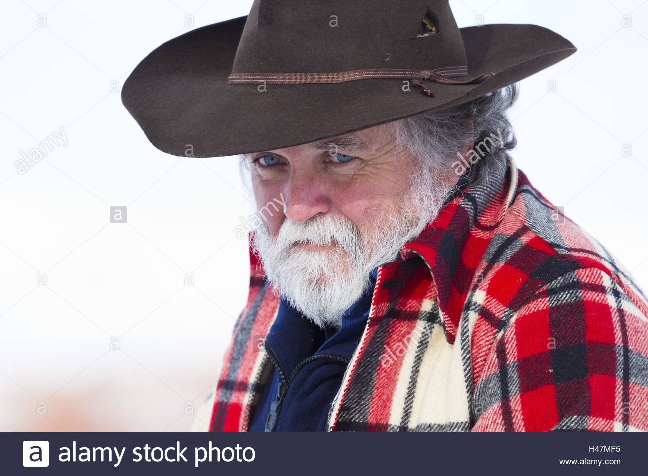 Australian Cowboy Stock Photos & Australian Cowboy Stock Images Alamy