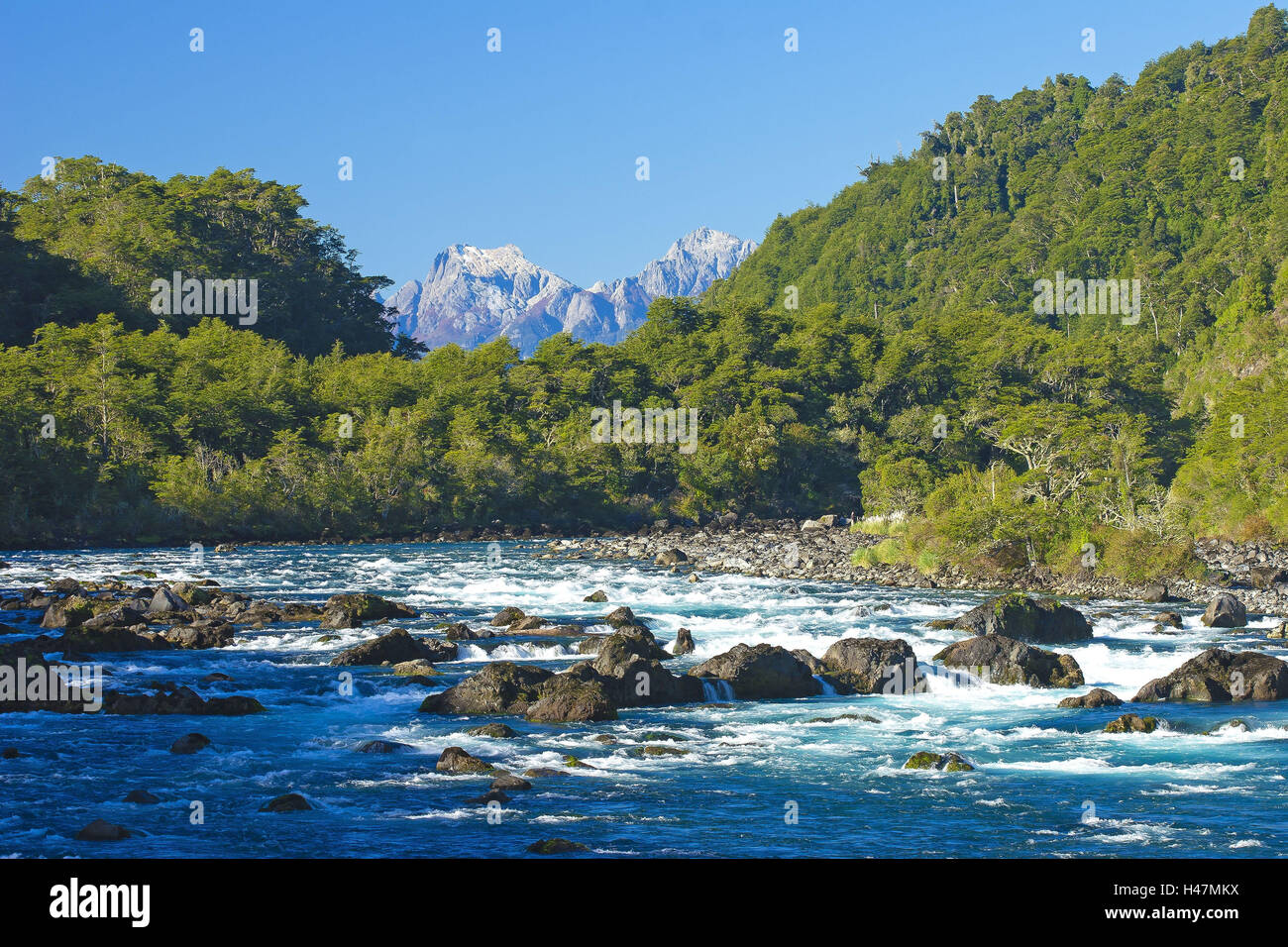 South America, Chile, Patagonia, National Park Petrohue, river Rio Petrohue, rapids, Stock Photo