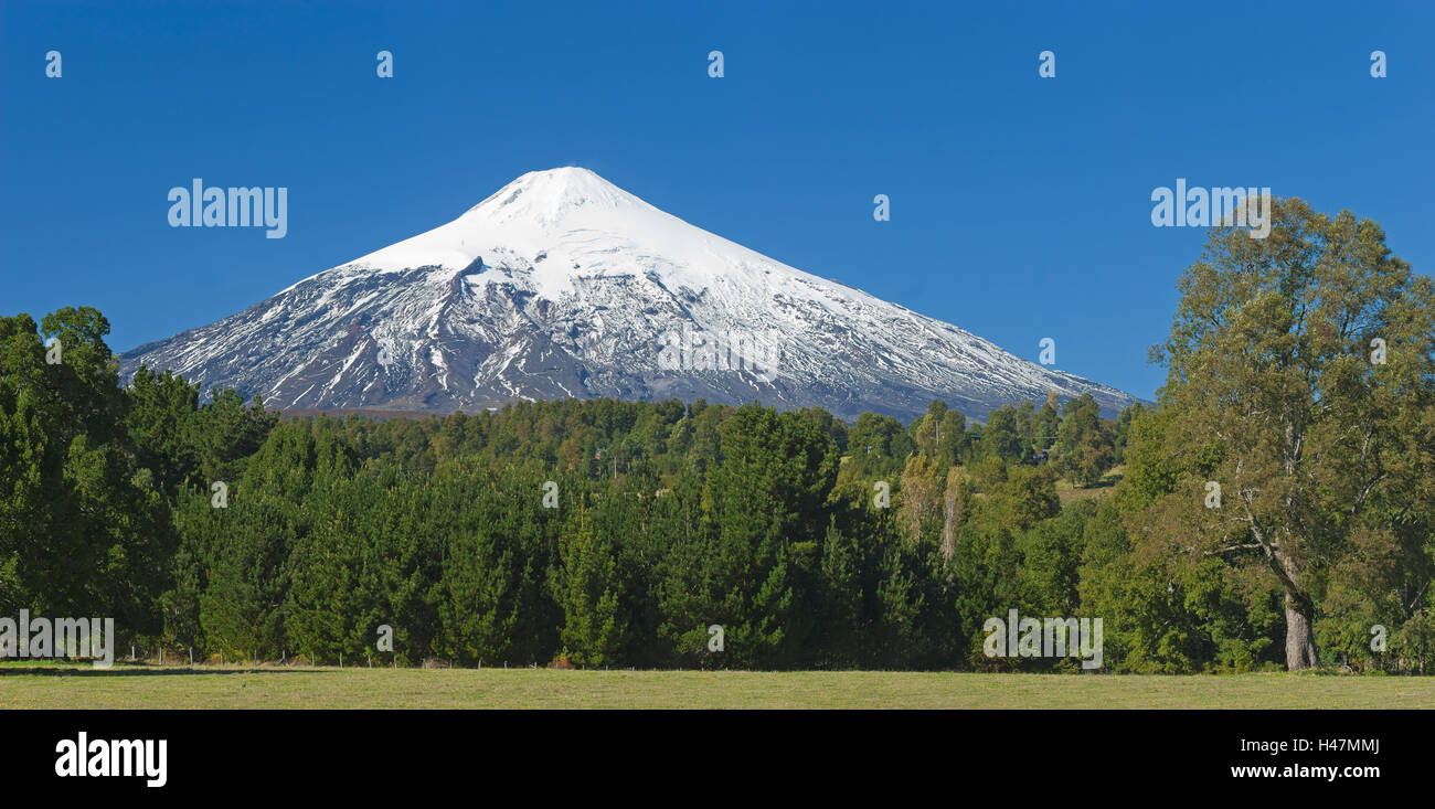 South America, Chile, Patagonia, volcano Villarrica, snowy summit, forest, Stock Photo