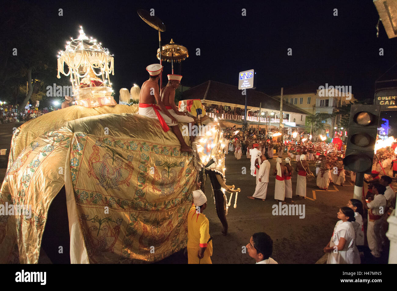 Elephants taking part in the Esala Perahera in Kandy Sri Lanka. This  procession held annually pays homage to the sacred tooth relic of Buddha. Stock Photo