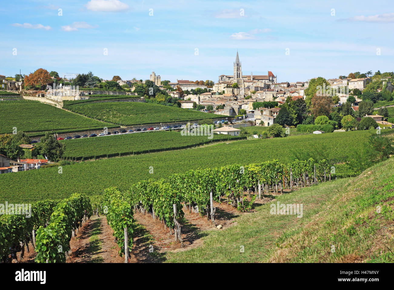 France, Gironde, Saint-Emilion, vineyards, local view, travel, nature, Europe, Aquitaine, travel, wine-growing, viticulture, wine-growing area, vines, church, church, scenery, nobody, houses, buildings, steeple, tower, Idyll, nobody, place, place, UNESCO- Stock Photo