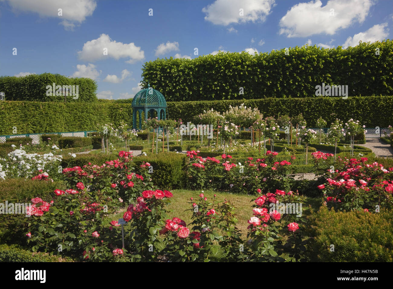 Germany Low Cases Hannover Mansions Gardens Rose Garden From