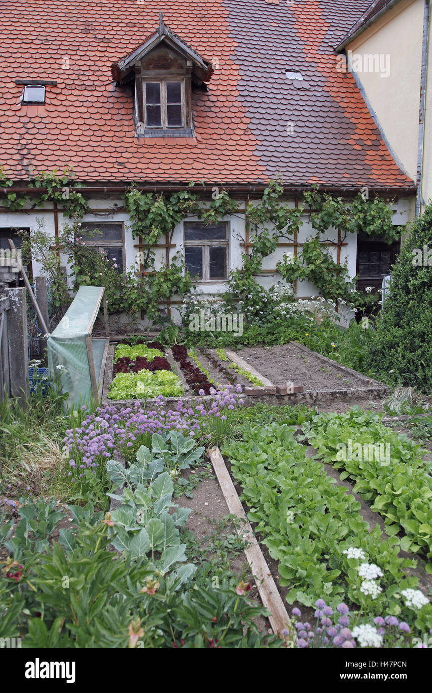 Vegetable garden in front of farmhouse, Stock Photo