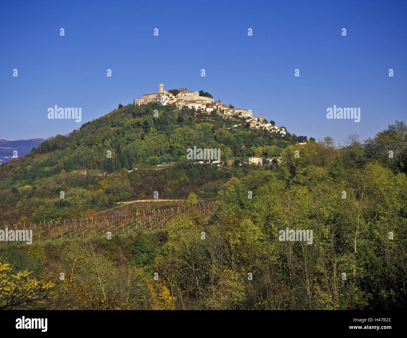 Croatia, Istria, Mirna Valley, Motovun, Cityscape, Woods, Forest, Adria, Old Town, Balkan, mountains, trees, mountain landscapes, geography, season, autumn, hill village, season, sky, blue, landscape, blue, foliage discoloration, foliage, Mountain, summer, afternoon, city, trees, season, destination, attraction, sunshine, tourism, sky, vacation, vineyard, weather, Mediterranean, cloudless, Stock Photo
