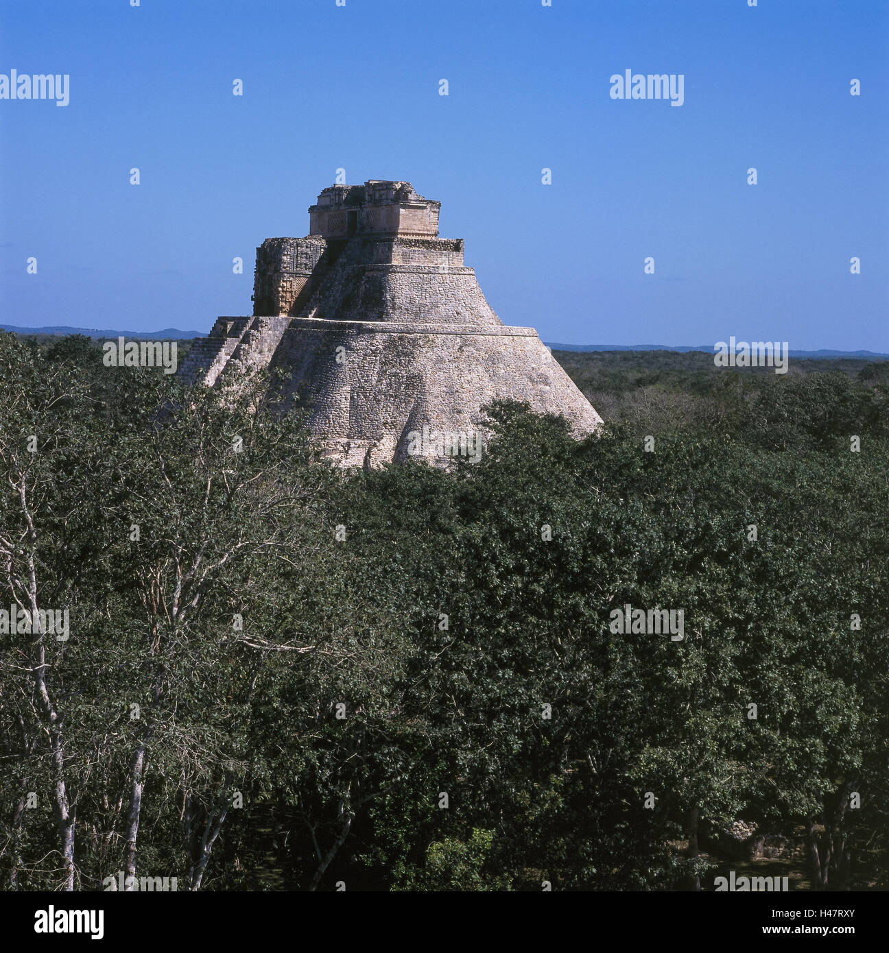 Mexico, peninsula Yucatan, Uxmal, ruin site, Adivino pyramid, Central America, Latin America, destination, culture, place of interest, building, pyramid, temple, temple plant, Maya, Maya's culture, Maya's site, architecture, structure, historically, tourism, UNESCO-world cultural heritage, Stock Photo