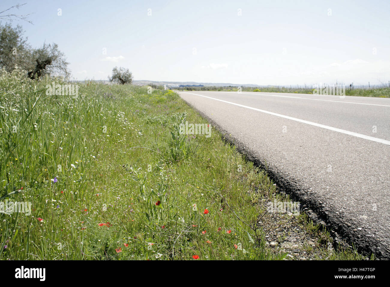 wild tgp spain Wild tgp spain