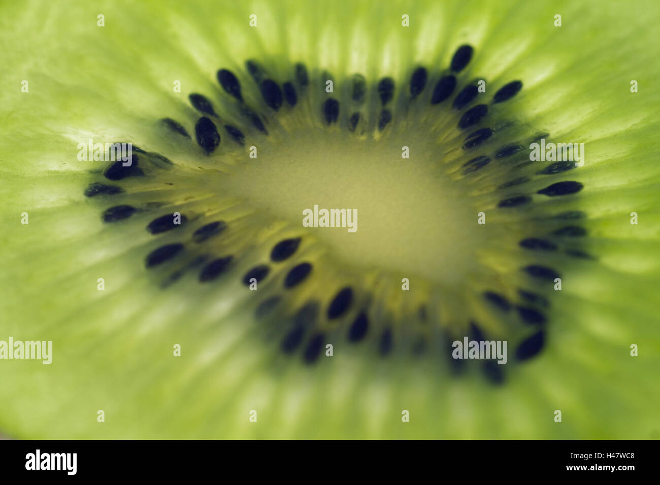 Kiwi, detail, cut open, slice, green, transmitted light, close up, Food, fruit, berries, kiwi fruits, fruits, ovally, flesh, green, fruit axis, cores, ripe, sweetly, sour, juicy, fruity, pale green, vitamins, freshness, curled, detail, product photography, Stock Photo