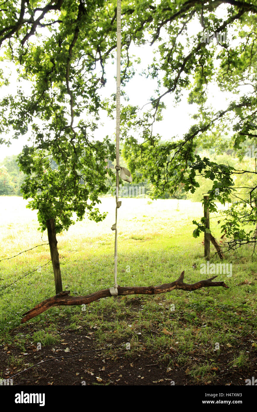 Garden, tree, rope, branch, swing, field edge, natural swing, simply,  self-made, summer, backlight Stock Photo - Alamy