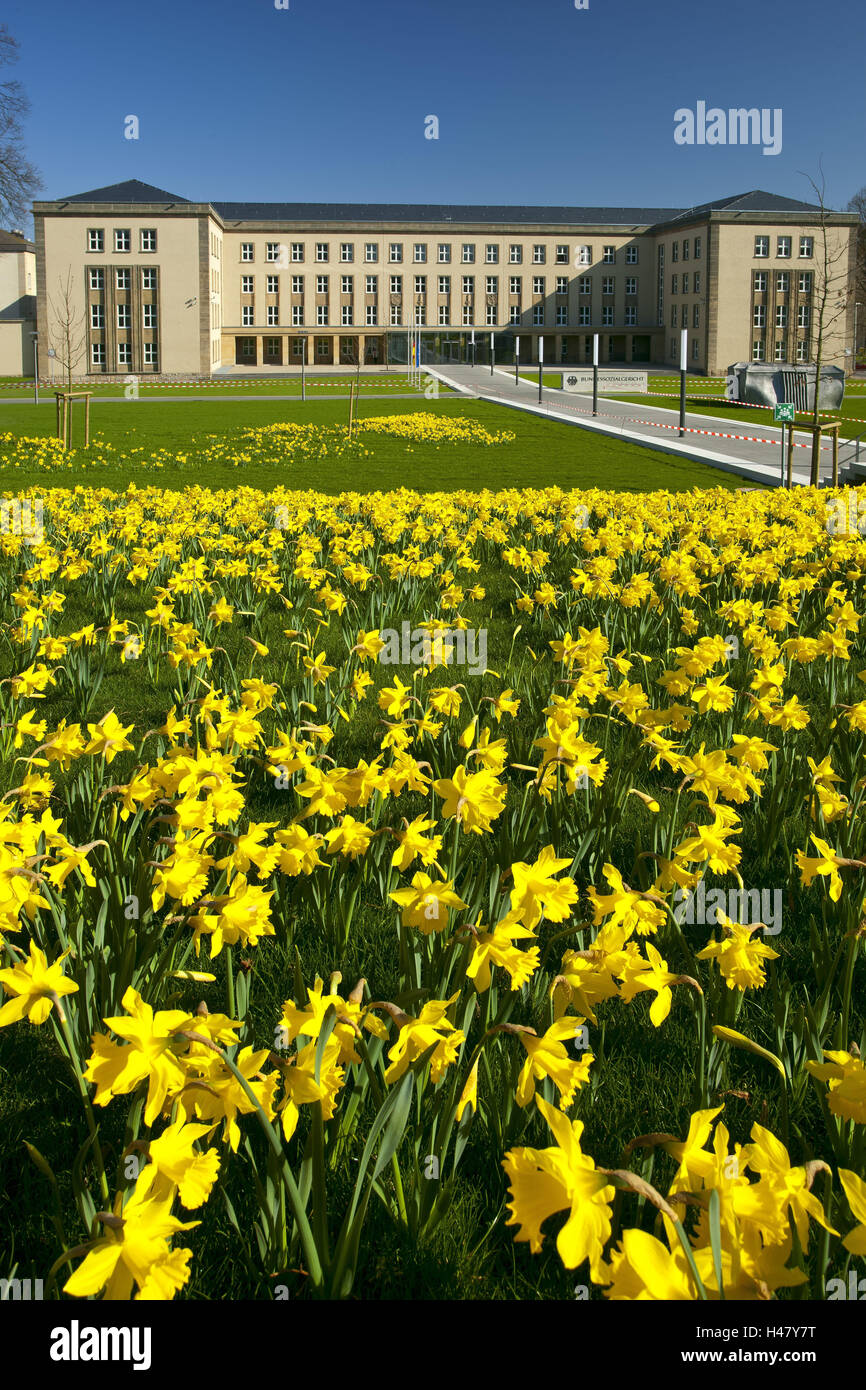Kassel germany federal social court hires stock photography and images Alamy
