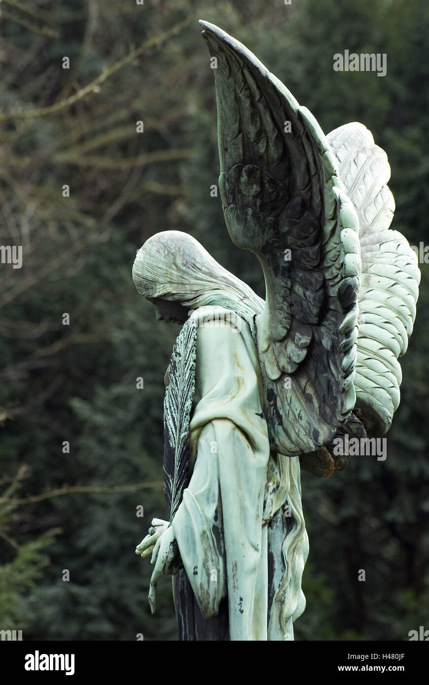 Engel Statue Head Wing Branches Leaves Detail Hand Stock Photo Alamy