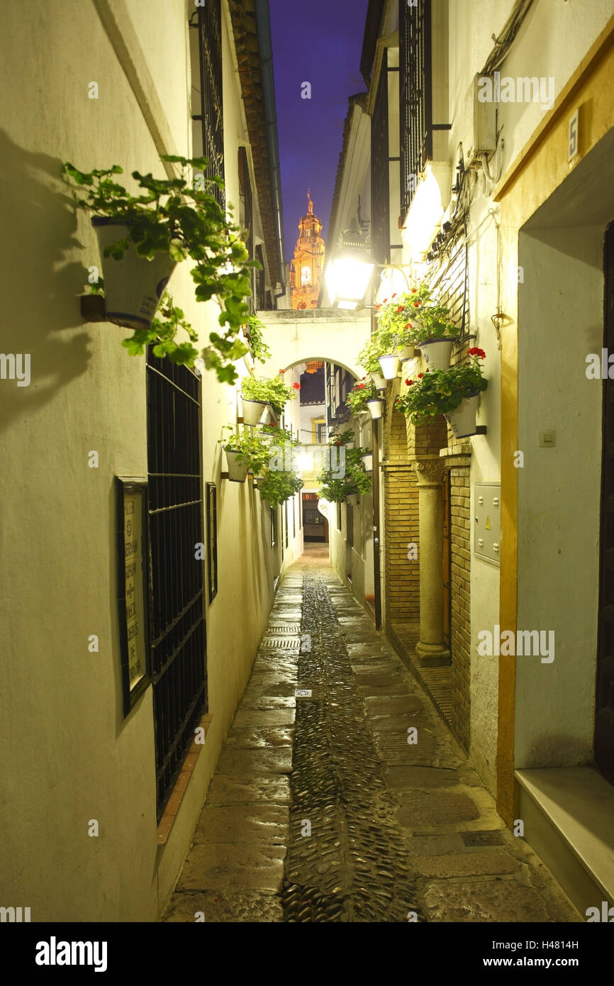 Spain, Andalusia, Cordoba, lane 'to call Flores' in the Old Town fourth Juderia, evening, Stock Photo