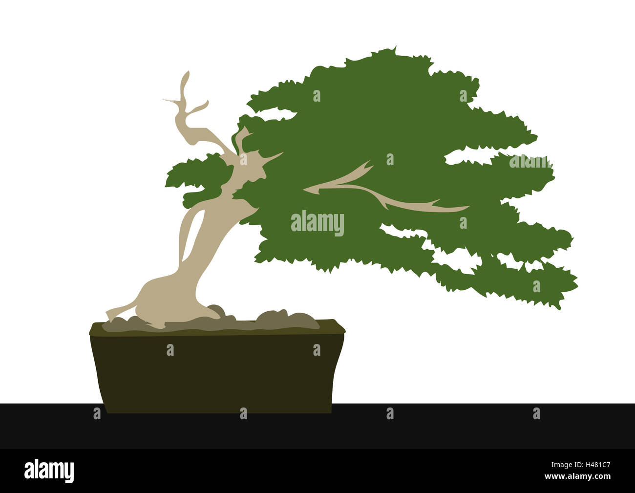 Illustration, bonsai, nature, plant, tree, dwarf's tree, grow, culture