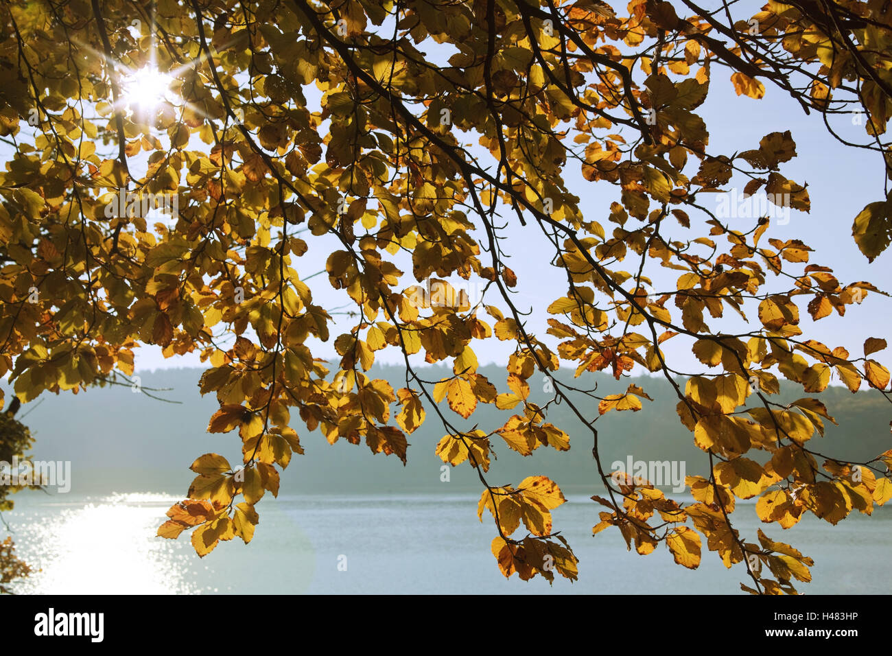 Germany, Hessen, Ederstausee in autumn, Stock Photo