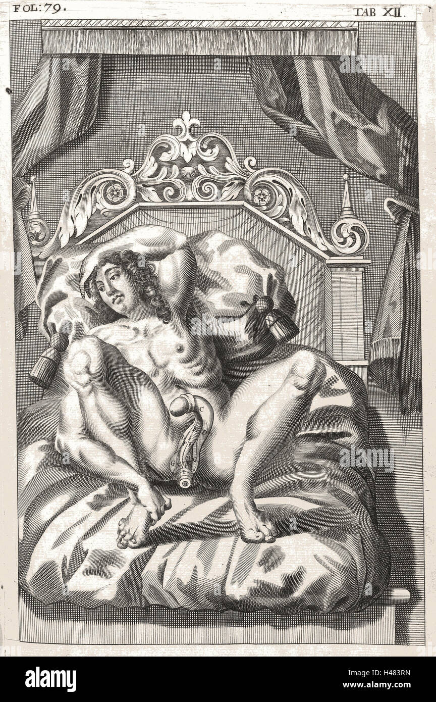 Anatomical illustration showing male genitalia Stock Photo