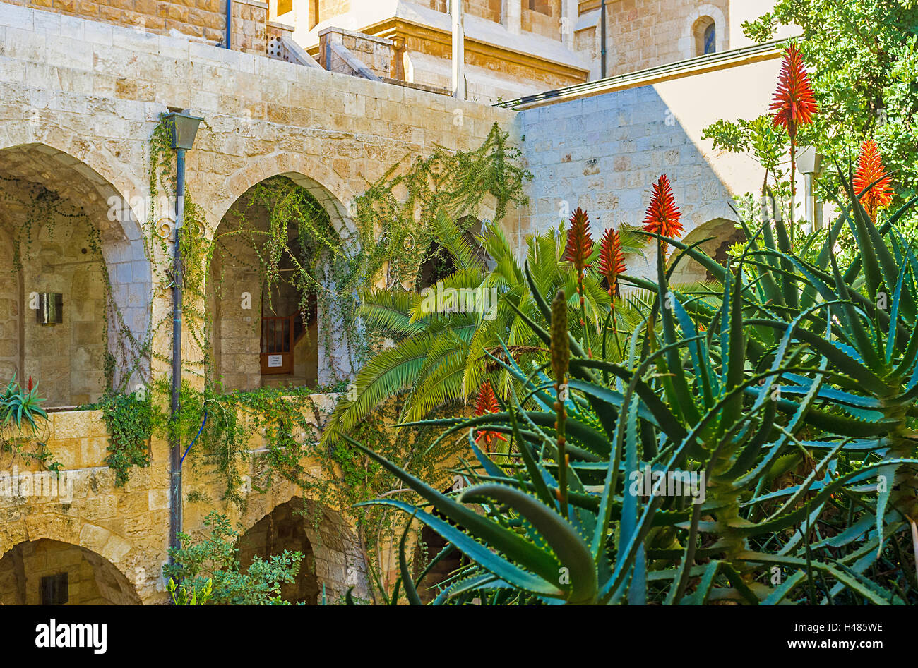 The tropic garden in the courtyard of Lutheran Kirche of the Redeemer, Jerusalem, Israel Stock Photo