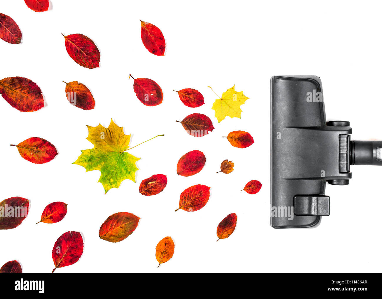 vacuum cleaner engulf autumn leaves on isolated white background Stock