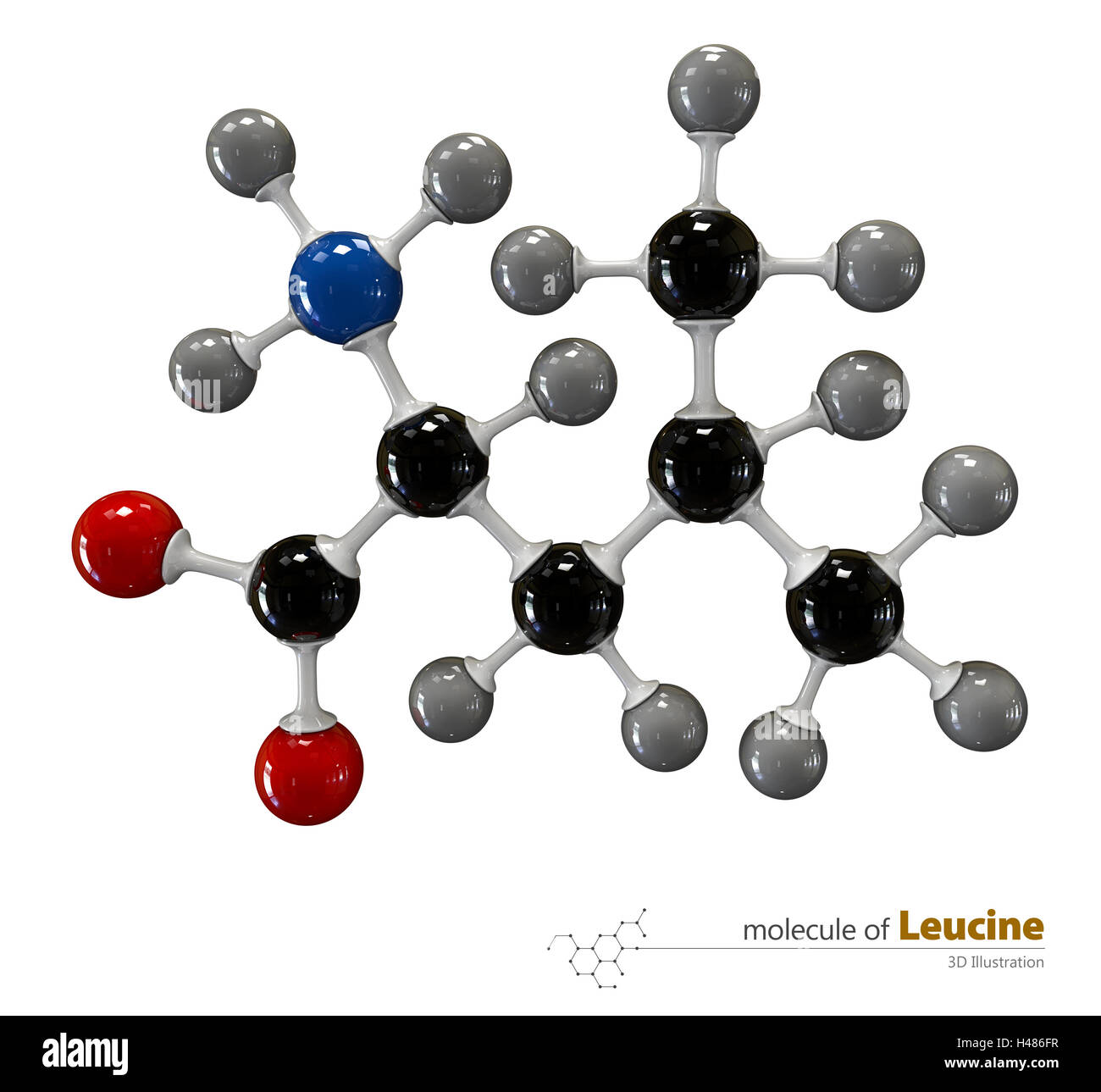 3d Illustration of Leucine Molecule isolated white background Stock