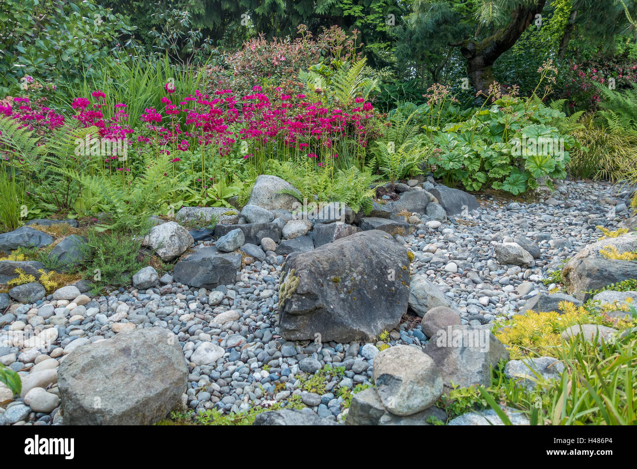 Stream Bed Rocks Red rocks and stream bed hi-res stock photography and images - Alamy