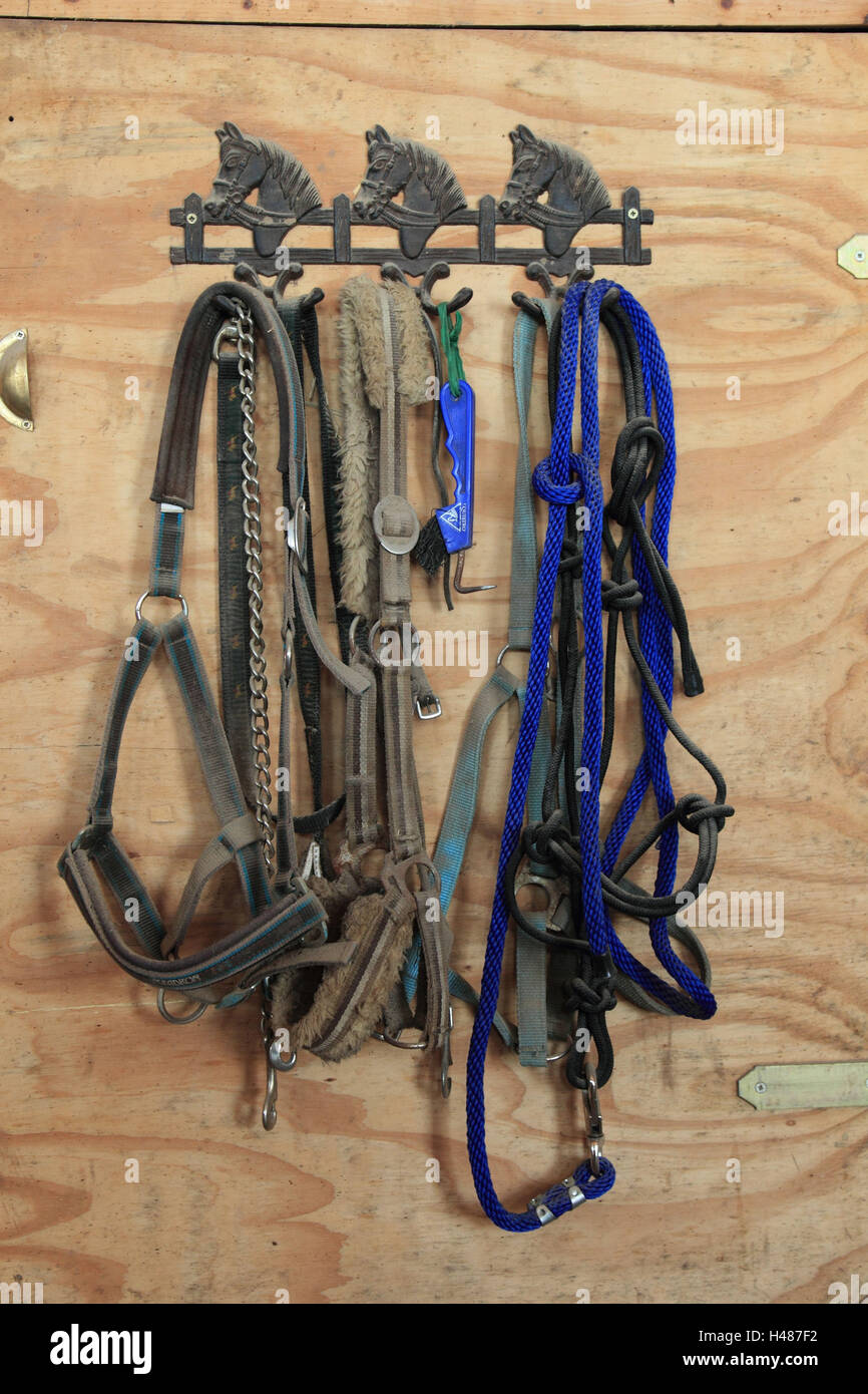 horse's harness, wooden wall, Stock Photo