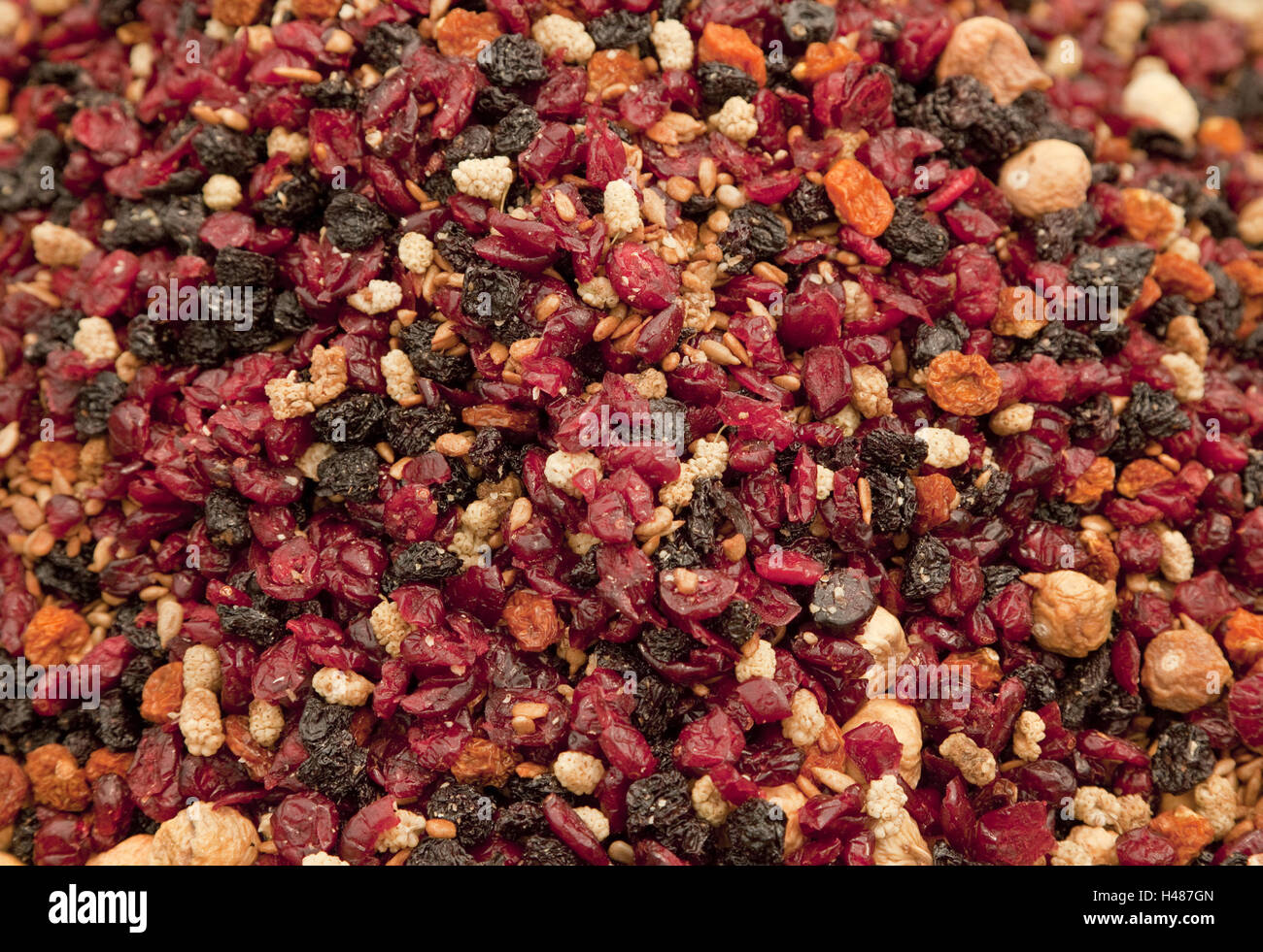 Foetus mixture hires stock photography and images Alamy