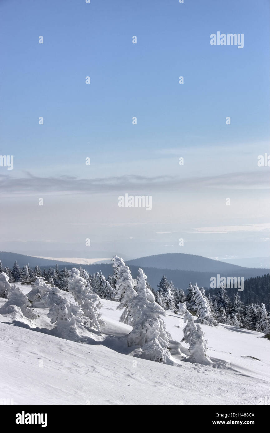 Germany, Saxony-Anhalt, lump, Wernigerode, winter scenery, Stock Photo