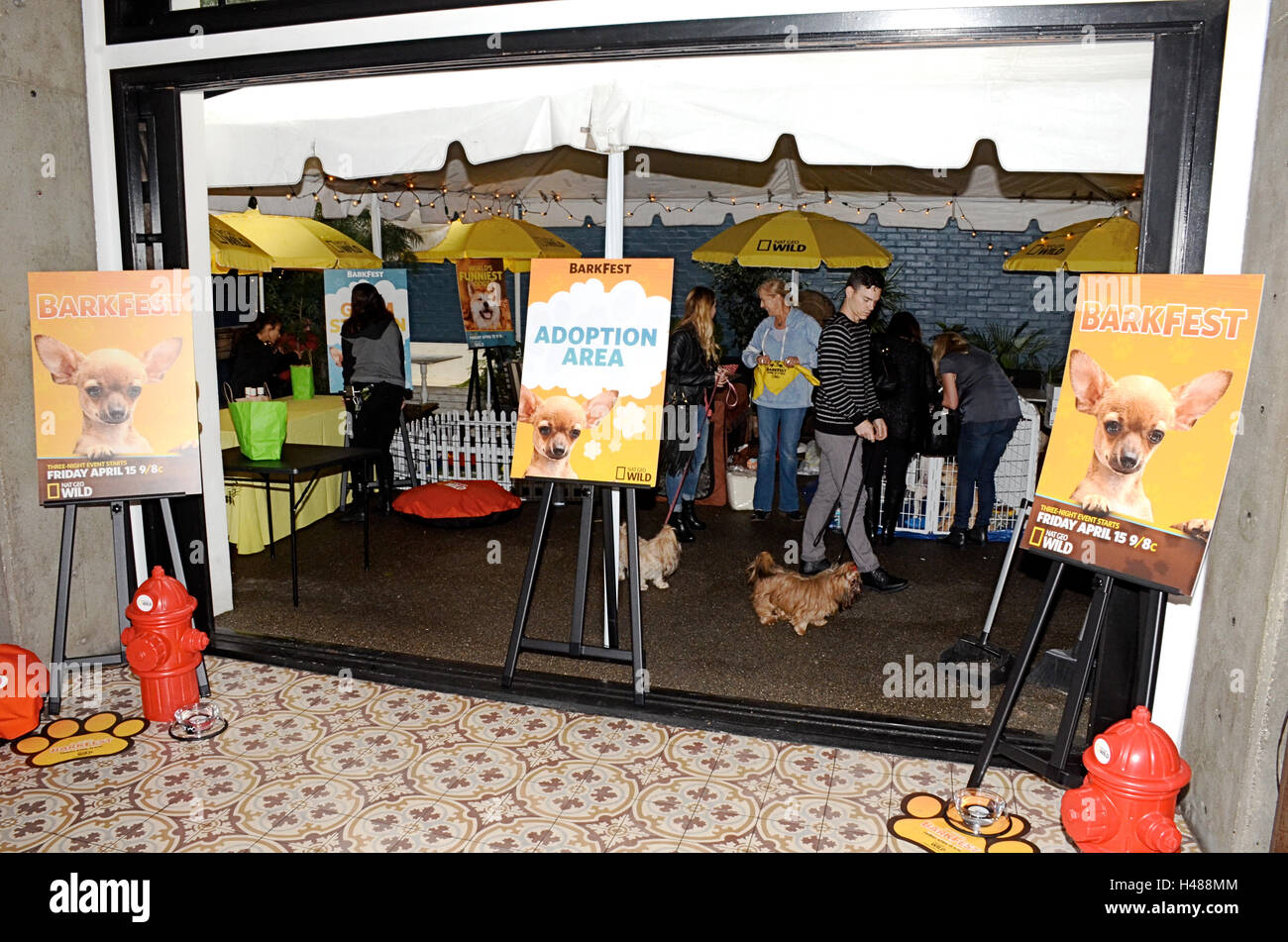 Atmosphere Nat Geo WILD 2nd Annual Barkfest at Palihouse Hotel on April 9, 2016 in West Hollywood, California. Stock Photo