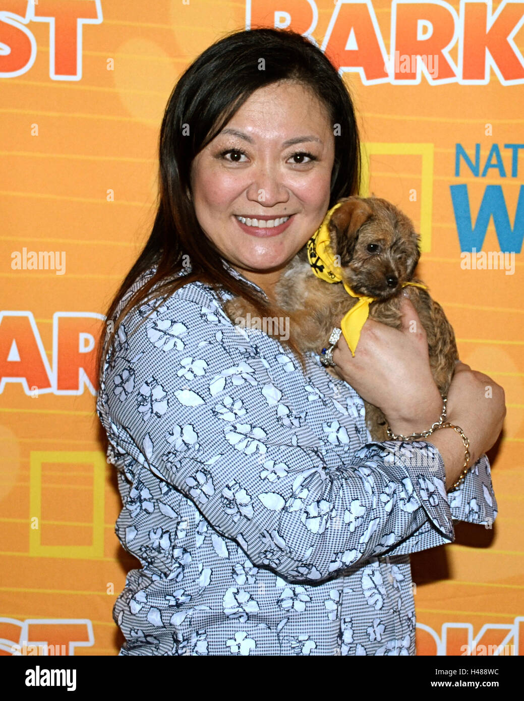 Janet Han Vissering attends Nat Geo WILD 2nd Annual Barkfest at Palihouse Hotel on April 9, 2016 in West Hollywood, California. Stock Photo