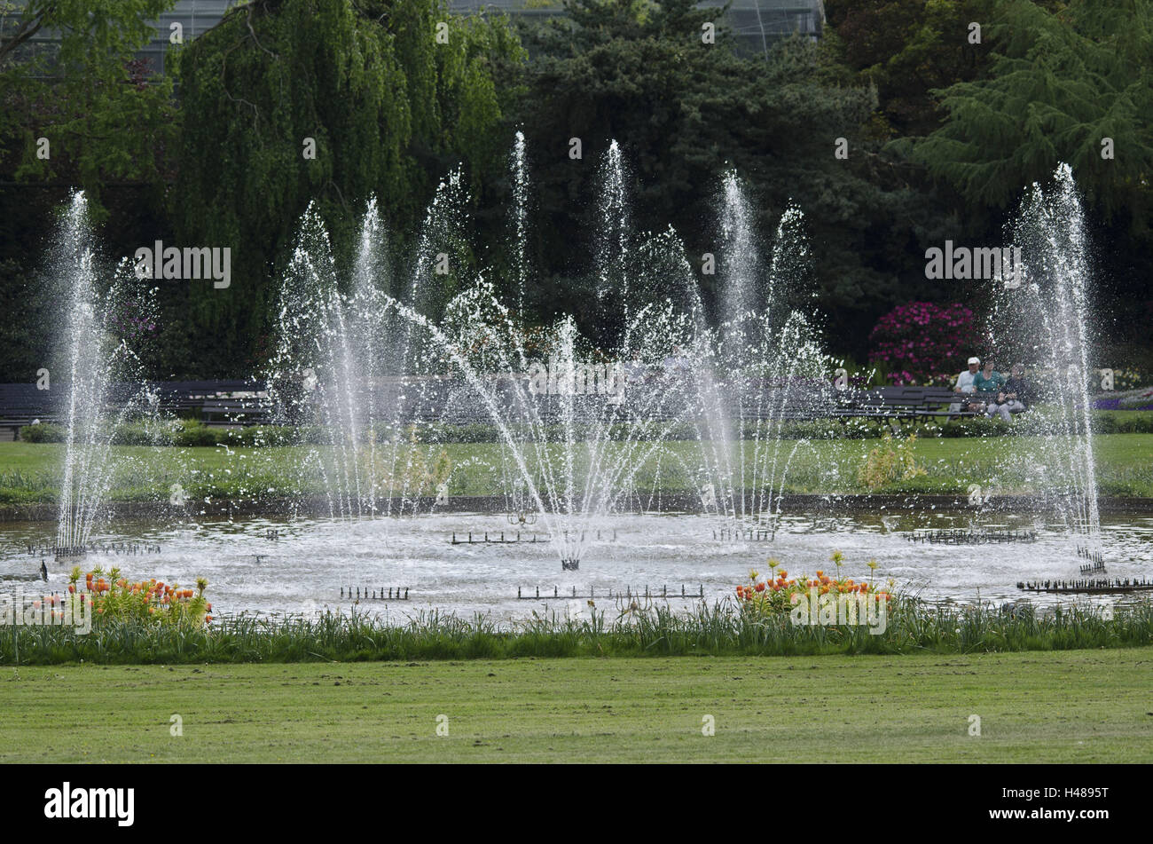 Lower Saxony, Walsrode, bird park, fountain attachment, Stock Photo