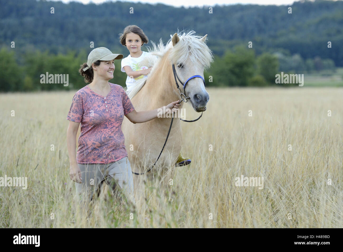 Rider, girl, horse, meadow, leading, looking at camera, landscape, Stock Photo