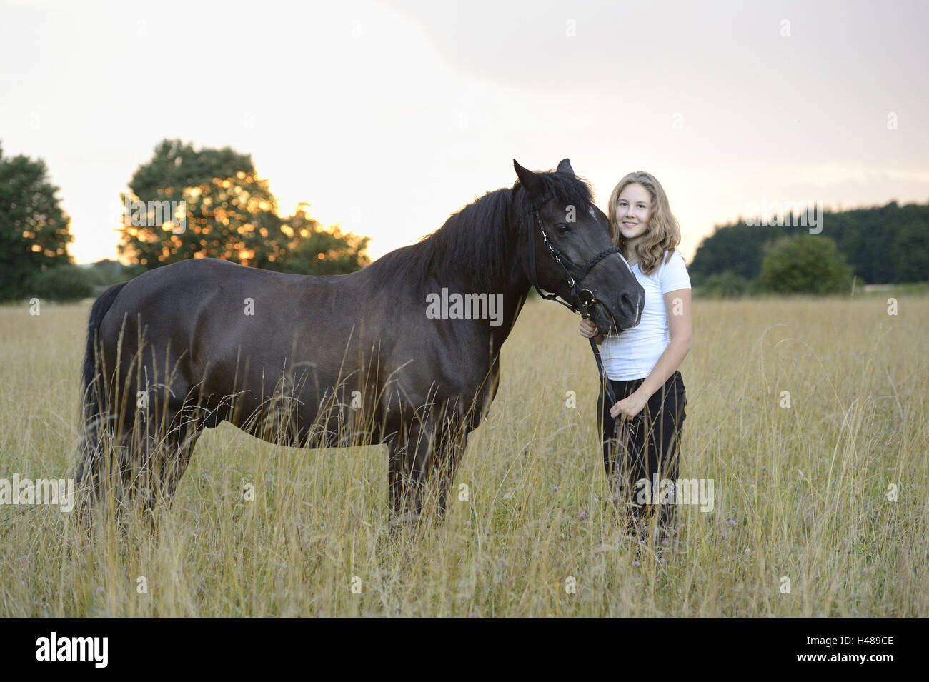 Girl, horse, meadow, standing, looking at camera, landscape, Stock Photo