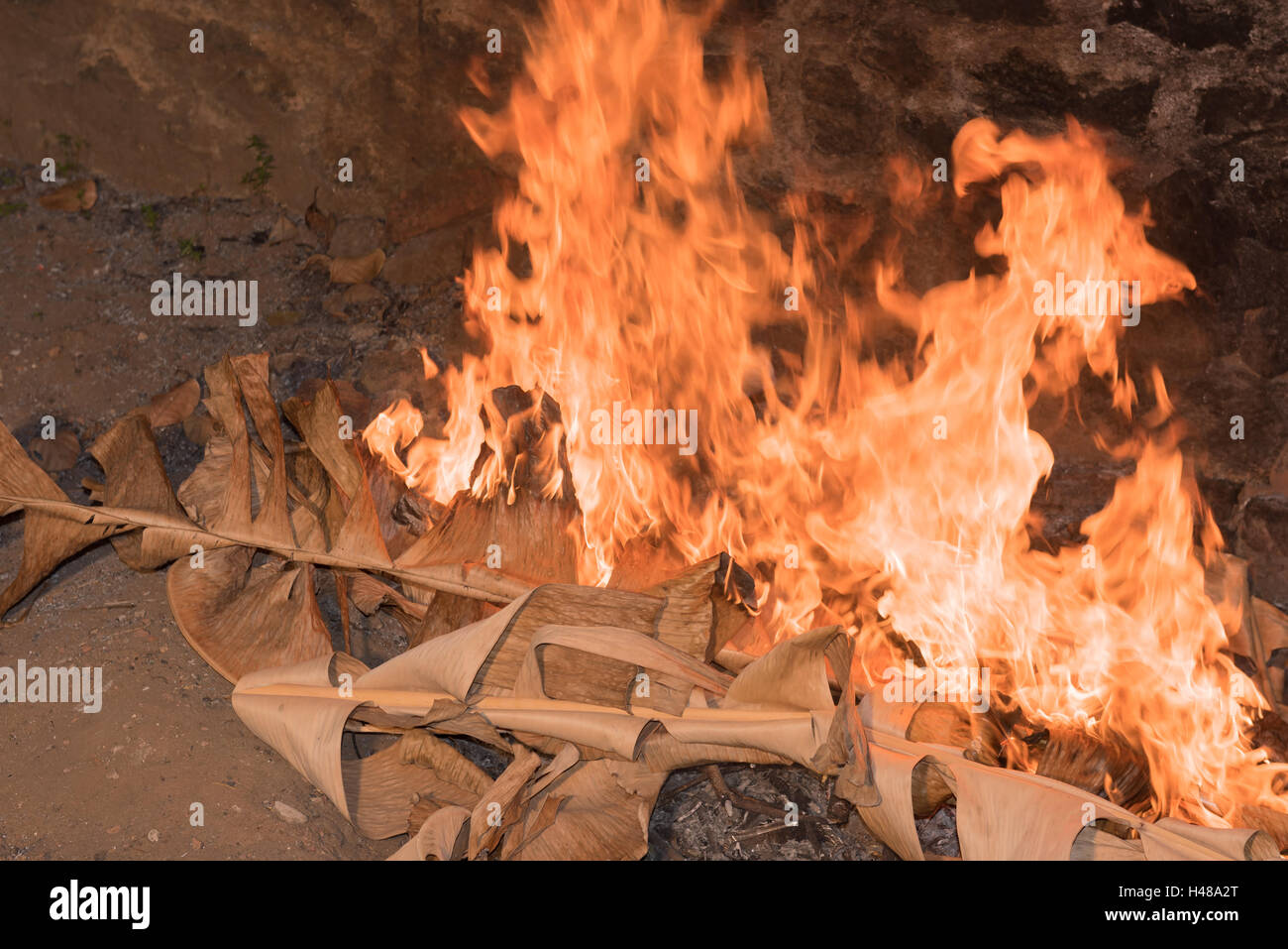 Dry leaves burning with red yellow flames in a pit Stock Photo Alamy