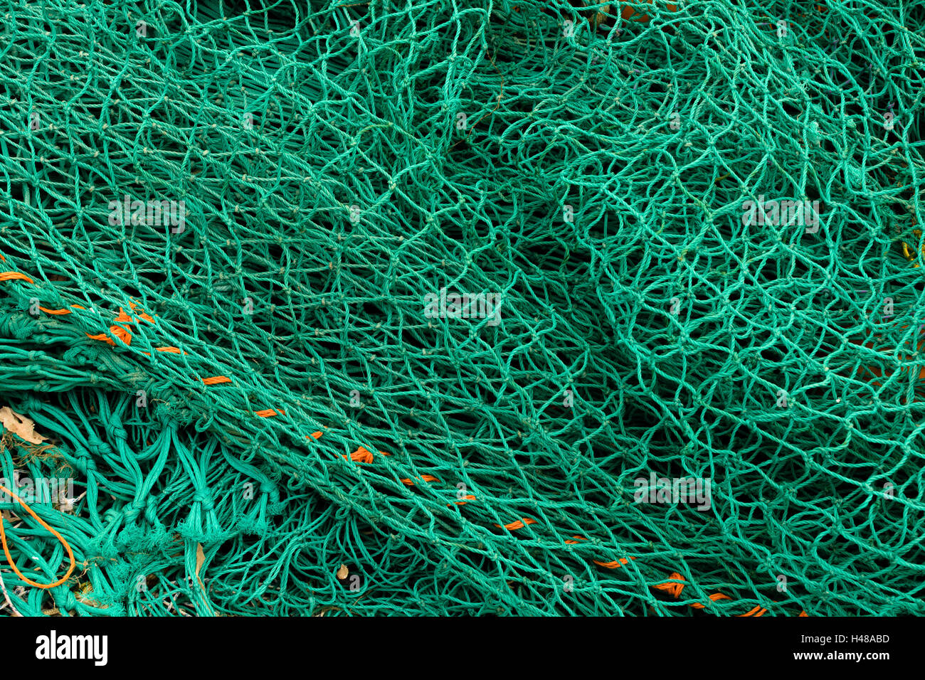 Green fishing net Stock Photo Alamy