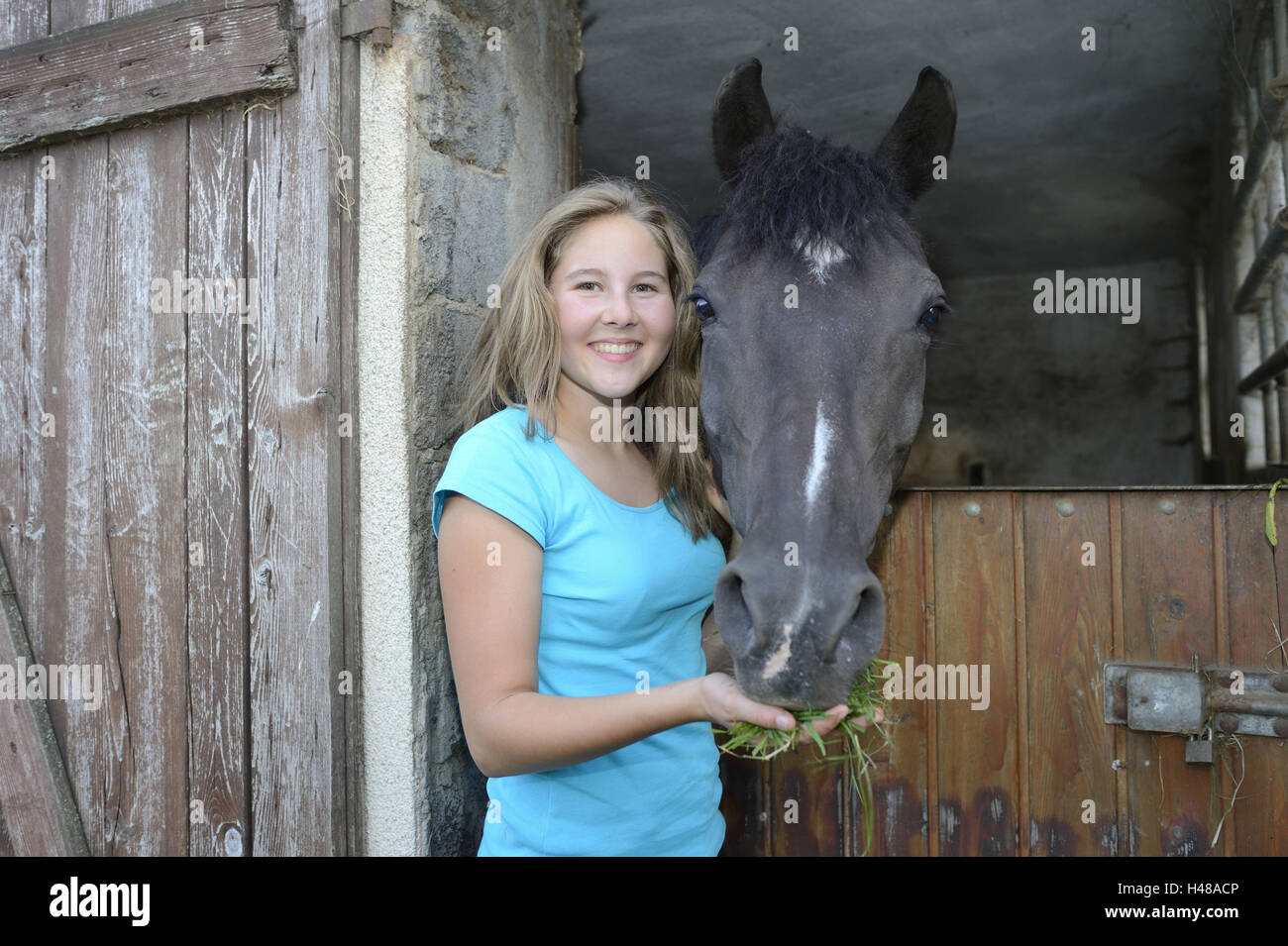 Teenage girl, horse, Arabo-Haflinger, half portrait, view camera, Stock Photo