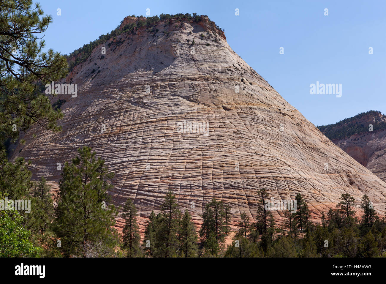 Checkerboard formation hi-res stock photography and images - Alamy