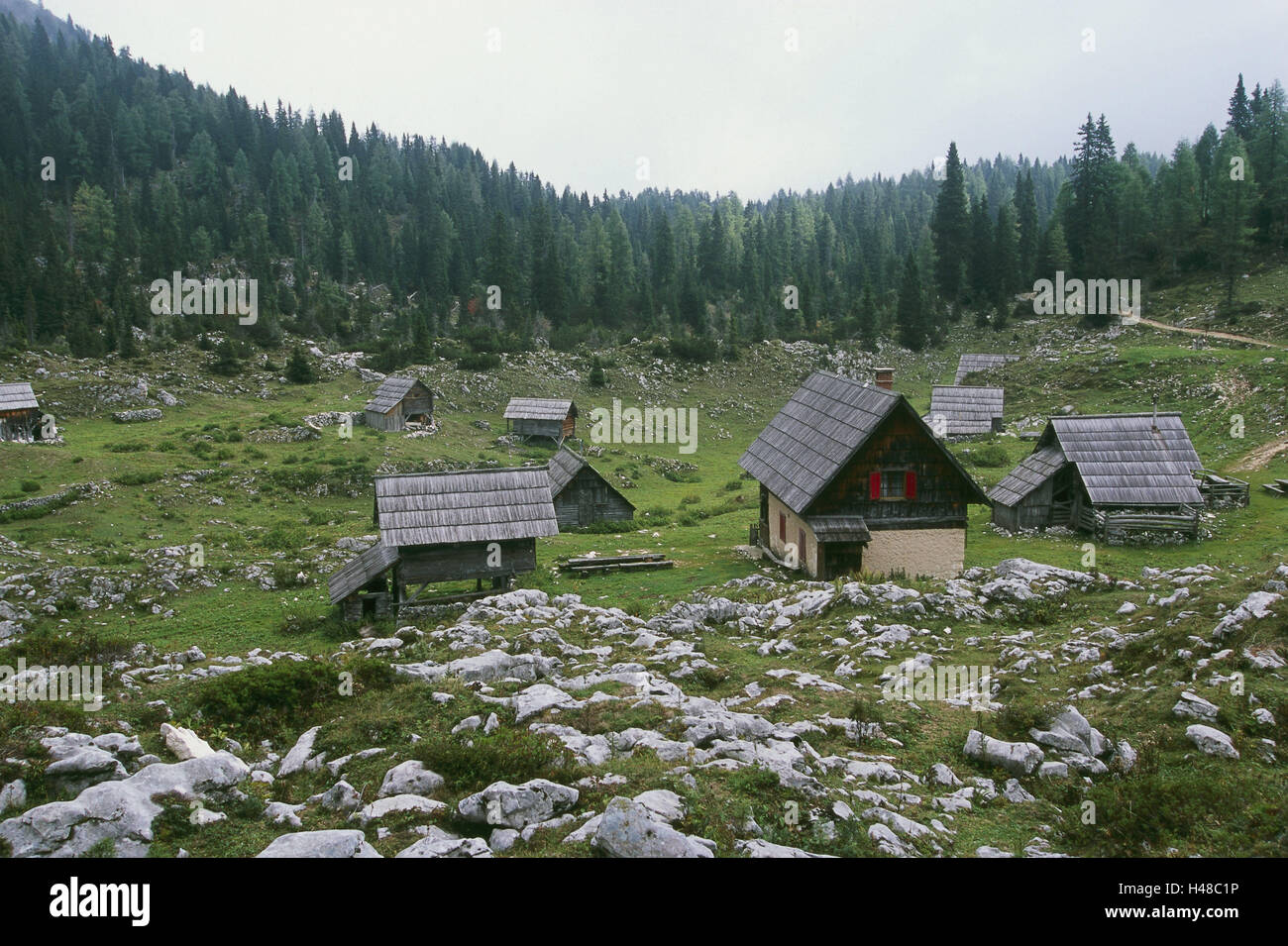 Slovenia, Triglav national park, Planina Dedno Polje, alp, wooden hut, mountains, nature reserve, hut, barns, rurally, Idyll, deserted, nature, seclusion, Stock Photo