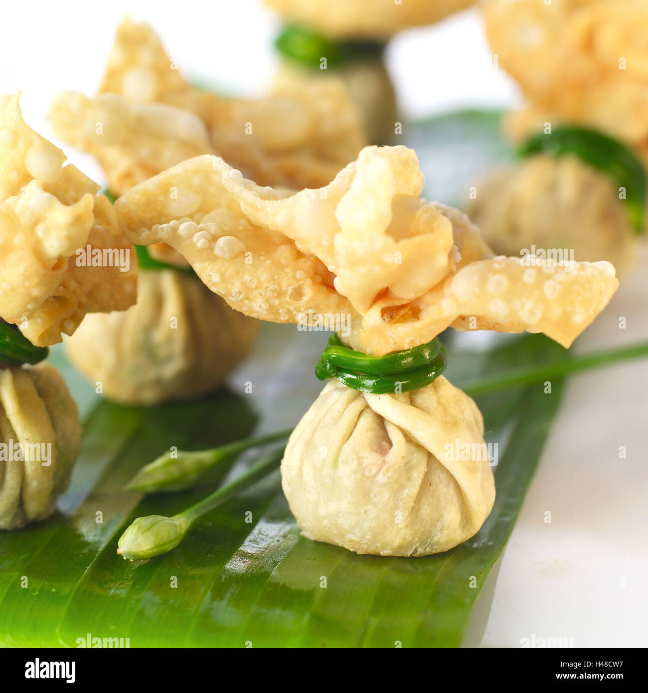 Wantan Vector Wantan Wan Tan High Resolution Stock Photography and Images - Alamy