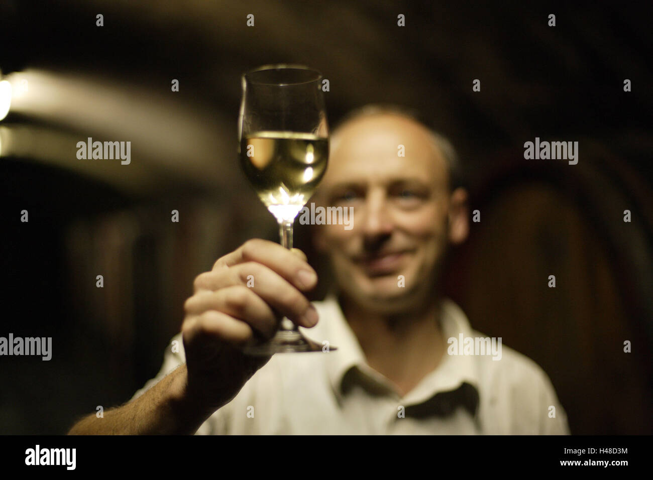 wine cellar, winemaker, winetasting, Stock Photo