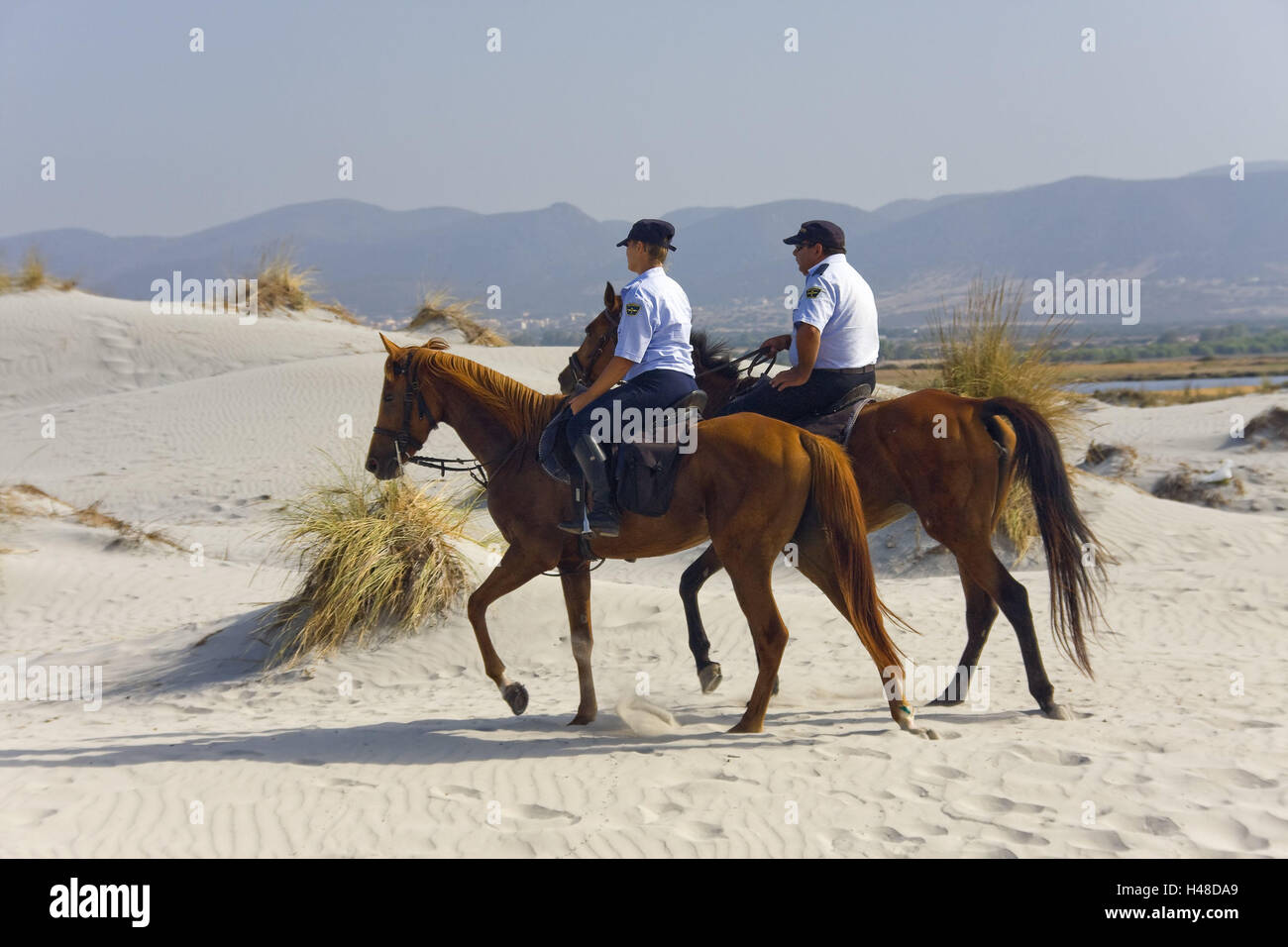 Italy, Sardinia, postage Pino, dunes, mounted police, patrol, sea, Europe, Southern, Europe, island, sandy beach, southwest coast, coast, beach, Sand, sandy beach, dune scenery, scenery, person, policeman, police officers, two, representative the law, ride, tape, police tape, controls, horses, bleeds, ride, the Mediterranean Sea, preview, Stock Photo