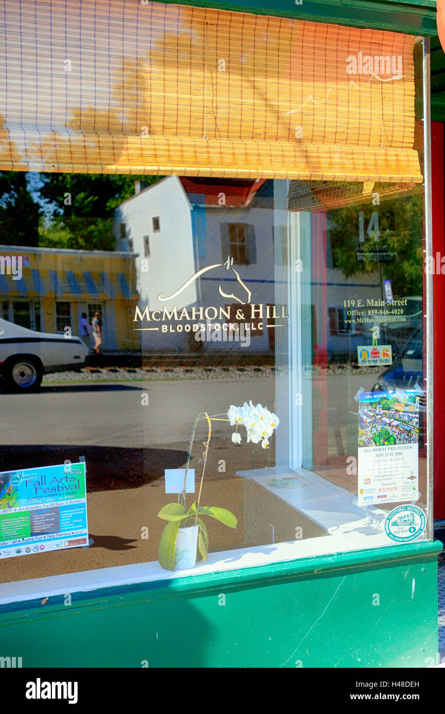 McMahon & Hill Bloodstock company window logo in downtown Midway, part